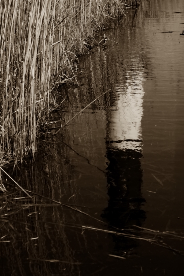2010 03 24 IMG 9999 92es